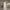 Floral Wedding Dress A full Skirt Evening gown