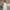 Floral Wedding Dress A full Skirt Evening gown