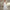Floral Wedding Dress A full Skirt Evening gown
