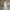 Floral Wedding Dress A full Skirt Evening gown