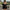 Women's A-Line Bodycon Mini Dress