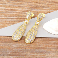 Delicate Shiny Zircon Earrings for Women