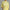 Elegant High-neck Half-sleeve Pleated Maxi Dress