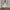 Woman Knee Length Corset Prom Dress