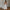 Woman Knee Length Corset Prom Dress