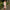 Women's A-Line Bodycon Mini Dress