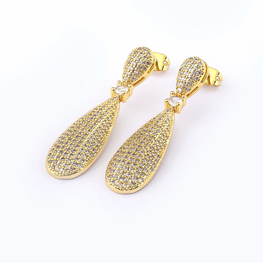 Delicate Shiny Zircon Earrings for Women