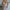 Glam Mermaid Strapless Prom Dress