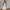 Woman Knee Length Corset Prom Dress