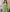 Sparkly Tulle Homecoming Dresses
